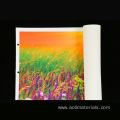 Aoli Printable Canvas Roll Digital Fabric Printed Canvas